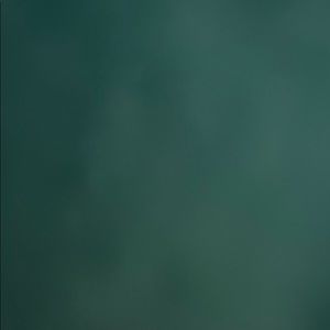 Meet your Posher, Amy franyelis